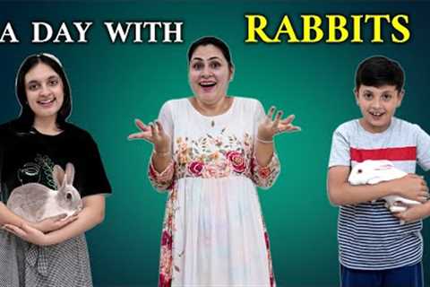 A DAY WITH RABBITS | Rabbits control our day for 24 hours | Surprise Gift | Aayu and Pihu Show